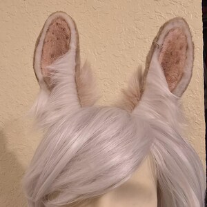 Josette heeft een foto van zijn/haar aankoop toegevoegd