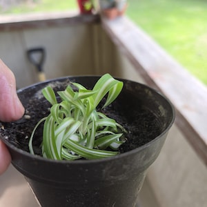 Michael ha añadido una foto de su compra