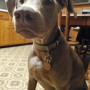 Etsy buyer added a photo of their purchase