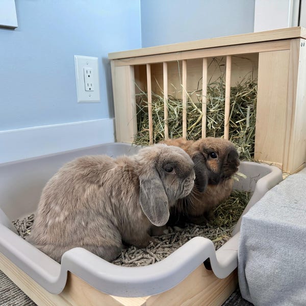 Large EZ Entry 3.0 - Hop Box: Double Entry Rabbit Bunny Easy Entry Hay ...