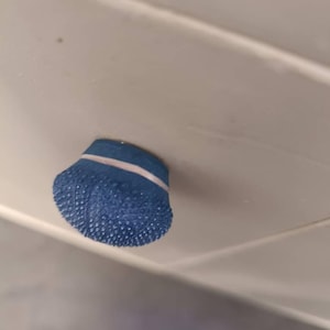 Armando added a photo of their purchase