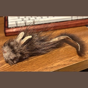 Kat added a photo of their purchase