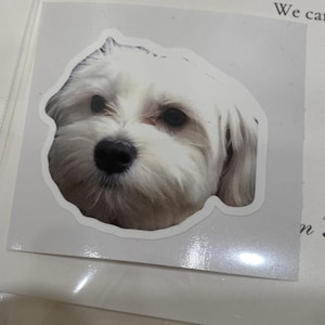 Susan added a photo of their purchase