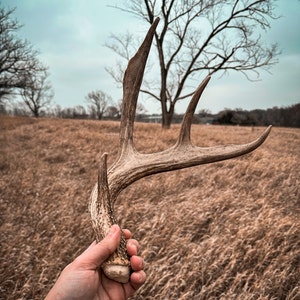 Caleb ha añadido una foto de su compra