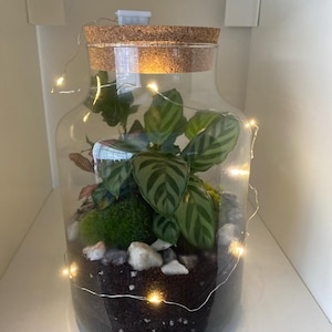 Nick a ajouté une photo de son achat