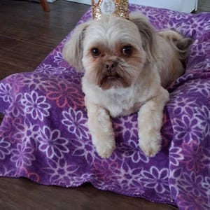 Darcy added a photo of their purchase