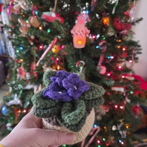 Deborah added a photo of their purchase