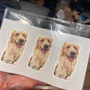 Olga added a photo of their purchase