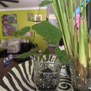Beverly added a photo of their purchase