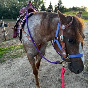 Siahra added a photo of their purchase