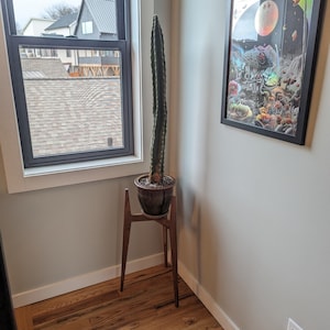 Mary added a photo of their purchase
