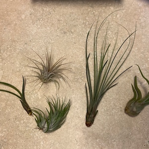 Heather added a photo of their purchase