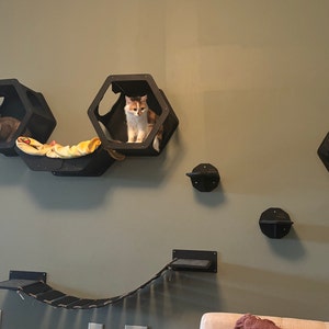 kate added a photo of their purchase