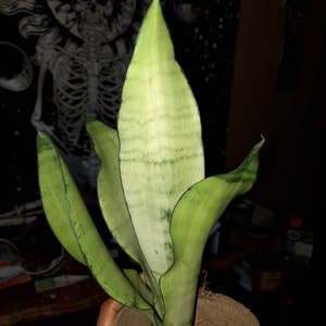 Cherie added a photo of their purchase