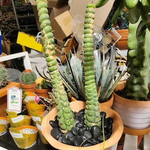 Maryann added a photo of their purchase