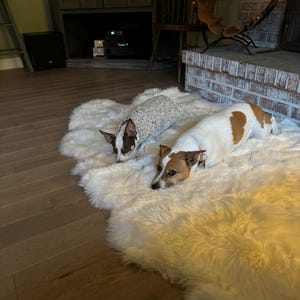 Karen added a photo of their purchase