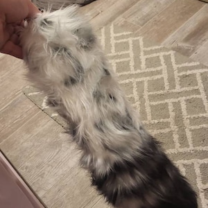 Luma added a photo of their purchase