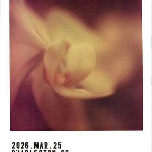 Claire さんが購入した商品の写真を追加しました