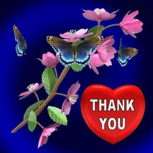 Kim hat ein Foto des gekauften Artikels hinzugefügt