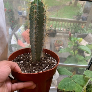 Nataly added a photo of their purchase