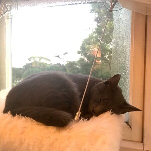 elizabethbrown623 added a photo of their purchase