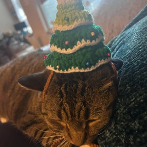 Amy ha añadido una foto de su compra