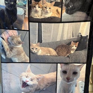 Drea added a photo of their purchase