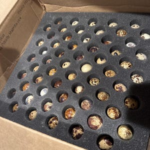 Veronica さんが購入した商品の写真を追加しました