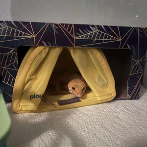 Mikenah added a photo of their purchase