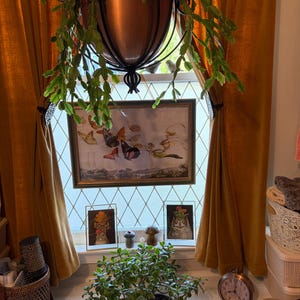 Laura added a photo of their purchase