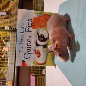 Kim added a photo of their purchase