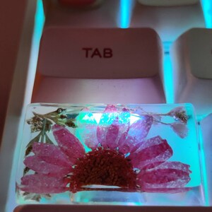 Amy added a photo of their purchase