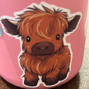 Nancy added a photo of their purchase