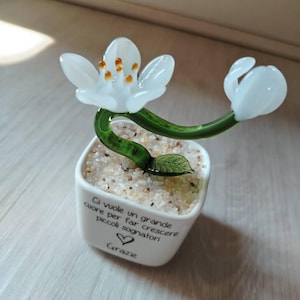 Paola added a photo of their purchase