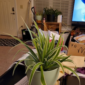 Kathi added a photo of their purchase