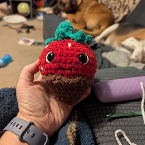 Krysta a ajouté une photo de son achat