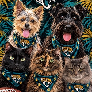 PetzRKidz added a photo of their purchase