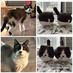 Christa added a photo of their purchase