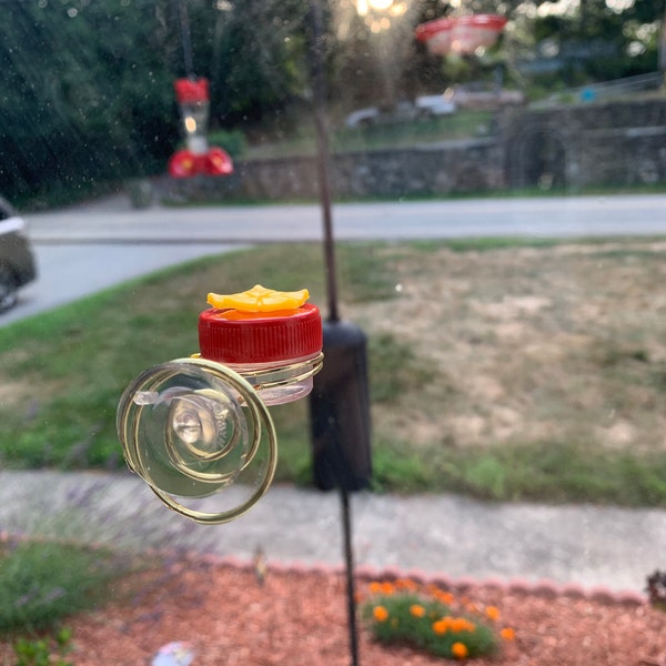 NEW Flower Single Hum-button™ With Lovely Window Spiral Holder Mini ...