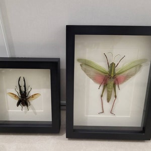 Geraldine added a photo of their purchase