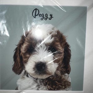 Bex added a photo of their purchase