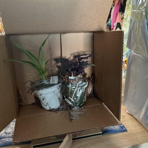 Sherian added a photo of their purchase