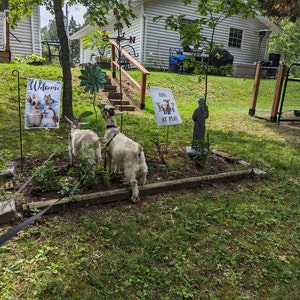 Shelley added a photo of their purchase