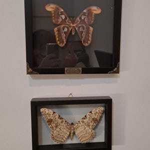 Mellony added a photo of their purchase