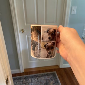 Elizabeth added a photo of their purchase