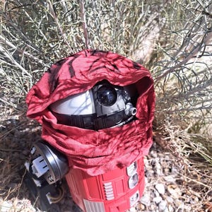 Gabriel added a photo of their purchase
