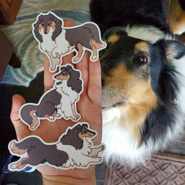 Rough Collie Vinyl Stickers (pack of 3) - Cute Waterproof Dog Sticker ...