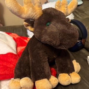 Ellen added a photo of their purchase