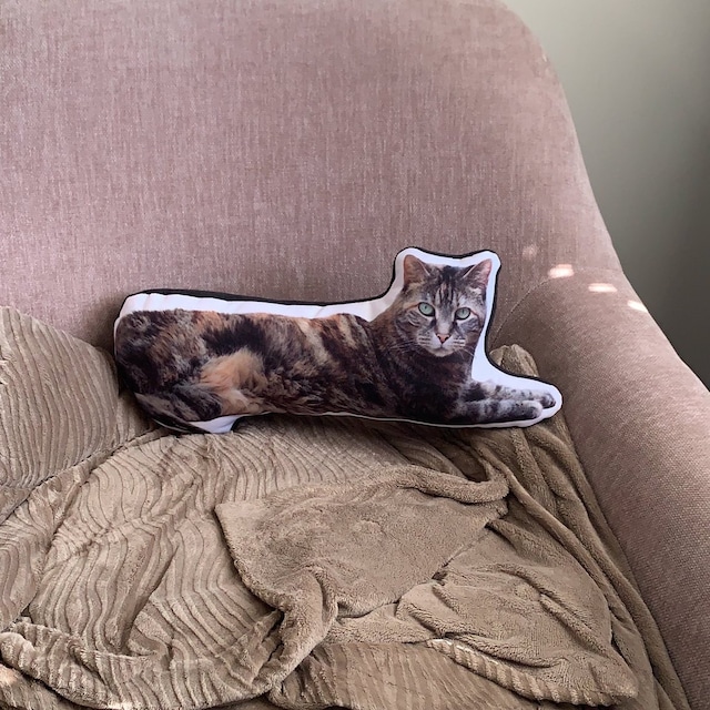 Custom Cat Face Pillow Life Like Cat Pillow Cat Lover -  Ireland