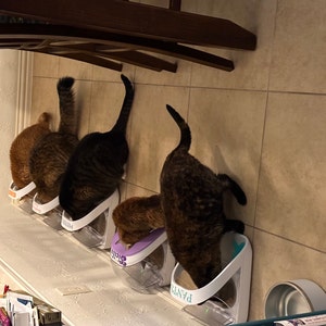 Karen added a photo of their purchase